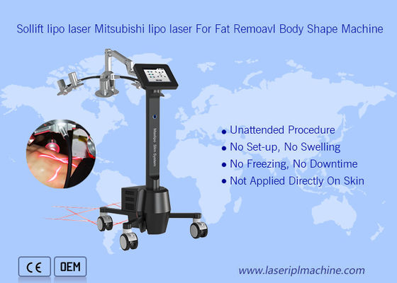 ভালো দাম 220v পোর্টেবল Cryolipolysis মেশিন 6d Lipolaser Zerona Beauty অনলাইন