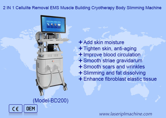 ইএমএস আরএফ পেশী বিল্ডিং 40k Cavitation 360 Cryotherapy Fat Freezing Machine