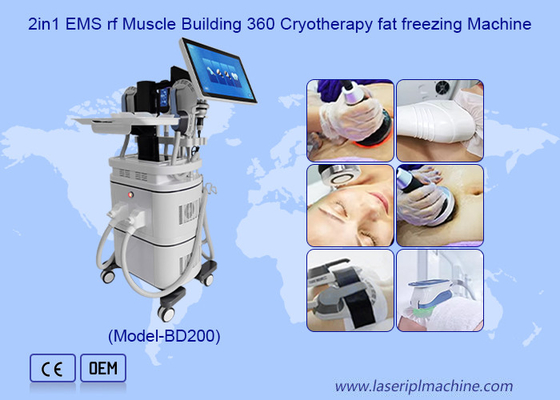 ইএমএস আরএফ পেশী বিল্ডিং 40k Cavitation 360 Cryotherapy Fat Freezing Machine