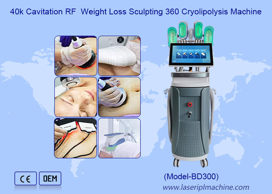 40k Cavitation RFWeight Loss Sculpting 360 ক্রিওলিপোলাইসিস মেশিন