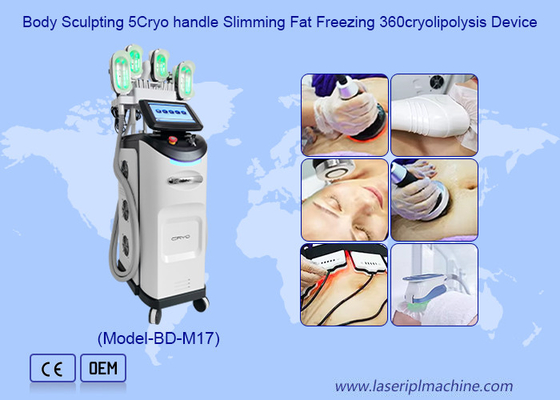 Professional Cryolipolysis Slimming Machine Weight Loss Beauty Equipment