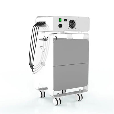 ভালো দাম ইএমএস রেডিও ফ্রিকোয়েন্সি এসডব্লিউটি সরঞ্জাম পিঠের ব্যথা উপশম স্বাস্থ্য যত্ন অনলাইন