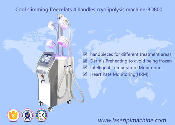 ভালো দাম 4 হ্যান্ডেল ওজন হ্রাস Cryolipolysis মেশিন / ফ্যাট হিমায়ন ভ্যাকুয়াম Cavitation Slimming মেশিন অনলাইন