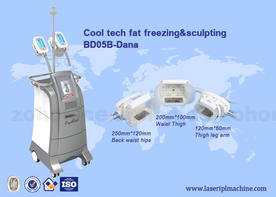 ভালো দাম 3 Size handles cryolipolysis cool slim body sculpting equipment / criolipolisys machine অনলাইন