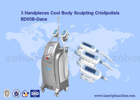ভালো দাম Vacuum Cryolipolysis / Cool Body Sculpting Membrane / Criolipolisis Cellulite Reduction Machine অনলাইন