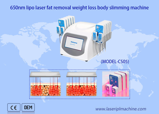 পোর্টেবল 650nm Lipo লেজার মেশিন আল্ট্রাশেপ বডি স্লিমিং ওজন কমানো
