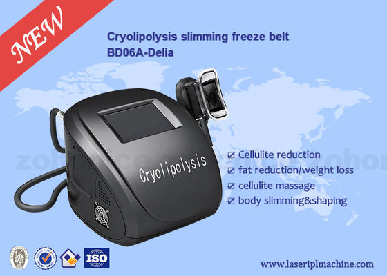 ভালো দাম Portable Body Sculpting Cryolipolysis Slimming And Weight Loss Machine অনলাইন