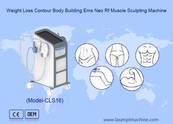 ভালো দাম 2pcs ছোট হ্যান্ডেল জন্য হাত এবং পা Ems পেশী উদ্দীপক গুদ সরঞ্জাম 1-100 Hz অনলাইন
