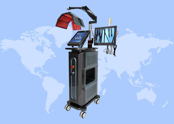 ভালো দাম ডায়োড লেজার নিম্ন স্তরের থেরাপি চুল বৃদ্ধি চুল ক্ষতি চিকিত্সা বৃদ্ধি 650nm হালকা পুনরায় বৃদ্ধি মেশিন অনলাইন