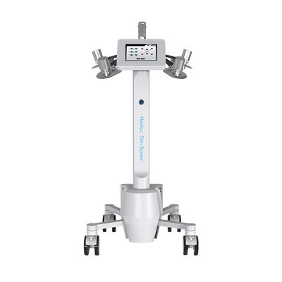 ভালো দাম 532nm সবুজ হালকা Lipo লেজার মেশিন ওজন কমানোর সেলুলাইট অপসারণ অনলাইন