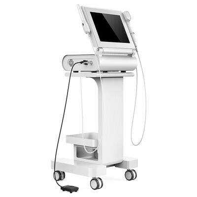 ভালো দাম 15 Inches Screen 2 In 1 Ultrasound Face Lift Machine / Vaginal Tightening Equipment অনলাইন