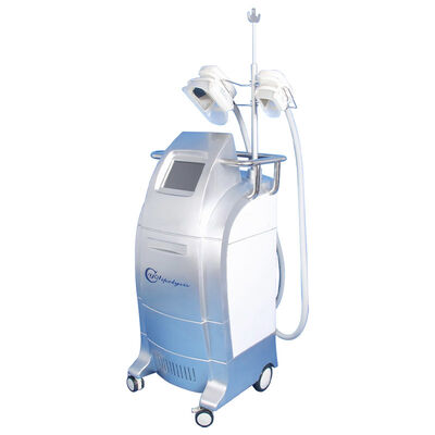 ভালো দাম Vacuum Cryolipolysis / Cool Body Sculpting Membrane / Criolipolisis Cellulite Reduction Machine অনলাইন