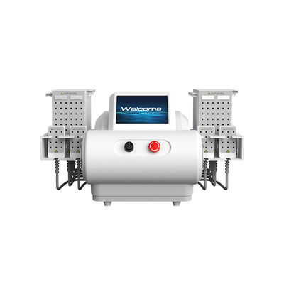 ভালো দাম 635nm 650nm 940nm 980nm ডায়োড লেজার ইএমএস প্লেট লিপোসাকশন বডি স্লিমিং মেশিন অনলাইন