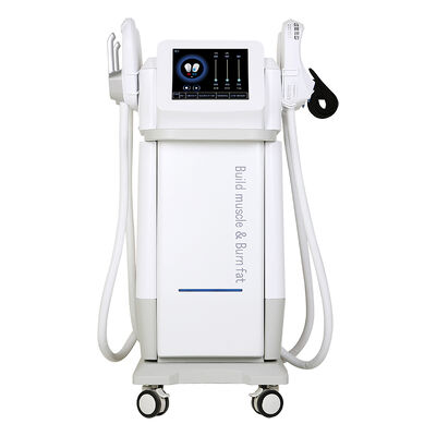 ভালো দাম 13টেসলা ইলেকট্রনিক পেশী উদ্দীপক ফ্যাট বার্ন শরীরের ভাস্কর্য মেশিন অনলাইন