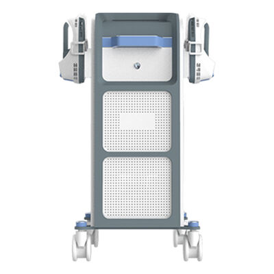 ভালো দাম স্পা এবং ফিটনেসের জন্য ইলেকট্রিক পেশী উদ্দীপনা ডিভাইস অনলাইন