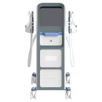 ভালো দাম পেশী নির্মাণ HiEMT মেশিন 1-100 Hz ফ্রিকোয়েন্সি EMS পেটের চর্বি উপর অনলাইন