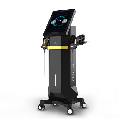 ভালো দাম উল্লম্ব মুখ ম্যাসেজার 6 হ্যান্ডেল RET FACE EMS পেশী উদ্দীপক মেশিন অনলাইন