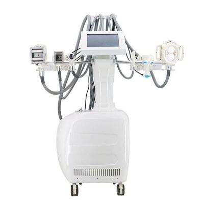 ভালো দাম Cavitation Cryolipolysis Slimming Machine  RF BIO Vacuum Theory for Salon অনলাইন