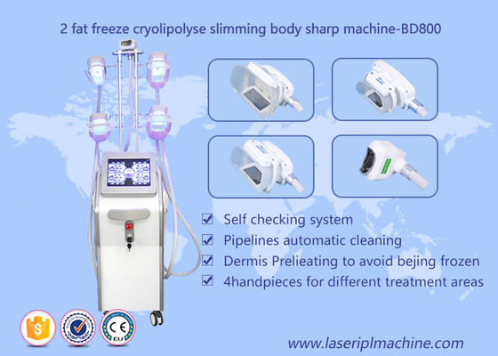 ভালো দাম আকার শরীরের Cryolipolysis Slimming মেশিন, লিপো Cryo Cryolipolysis সৌন্দর্য সরঞ্জাম অনলাইন