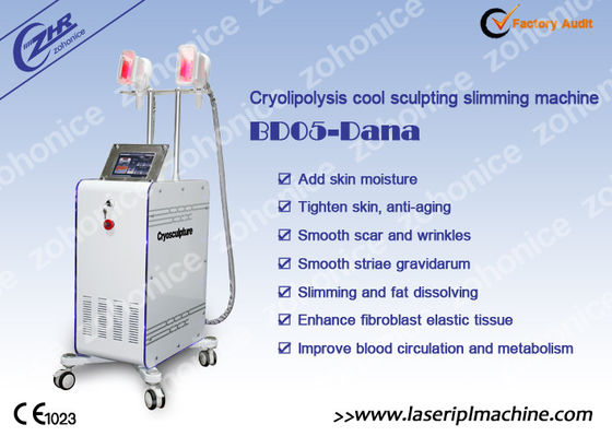 ভালো দাম 2 Changeable Handle Cryolipolysis Slimming Machine With Antifreezing Membrance অনলাইন